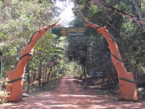 कांगेर घाटी राष्ट्रीय उद्यान, बस्तर — घने साल वन और जैव विविधता का क्षेत्र